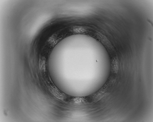 X0000101180762200807071245