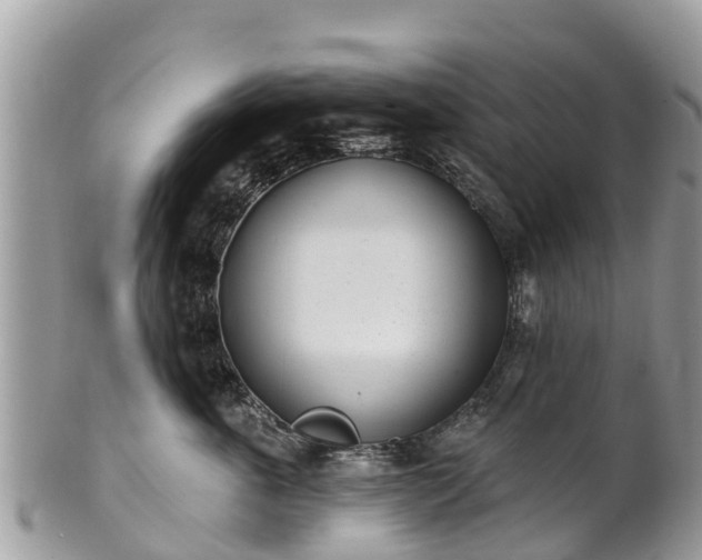 X0000101180763200807071245
