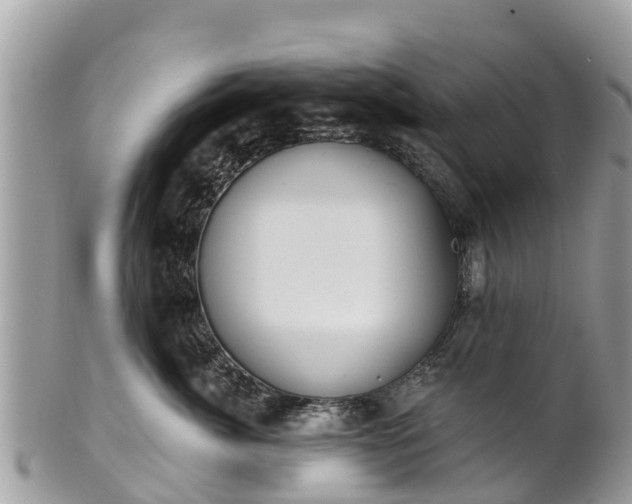 X0000101180764200807071245