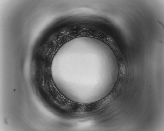 X0000101180765200807071245