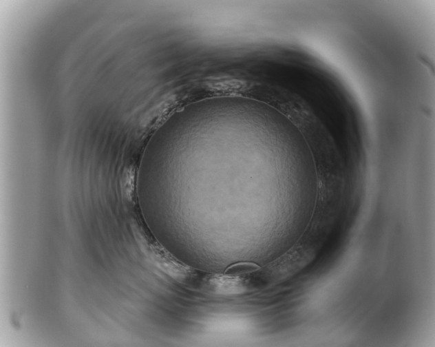 X0000101180767200807071245
