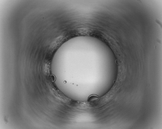 X0000101180768200807071245