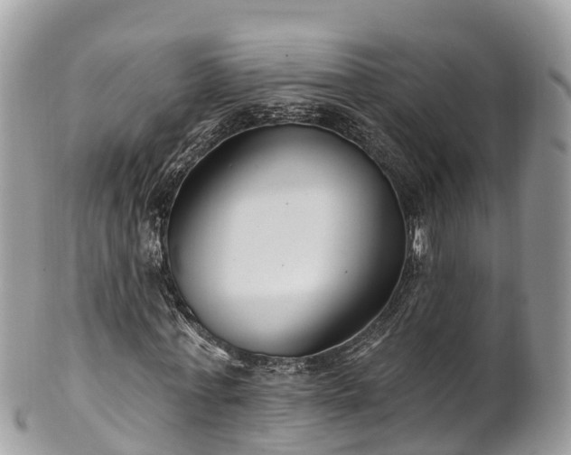 X0000101180771200807071244