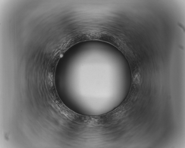 X0000101180772200807071244
