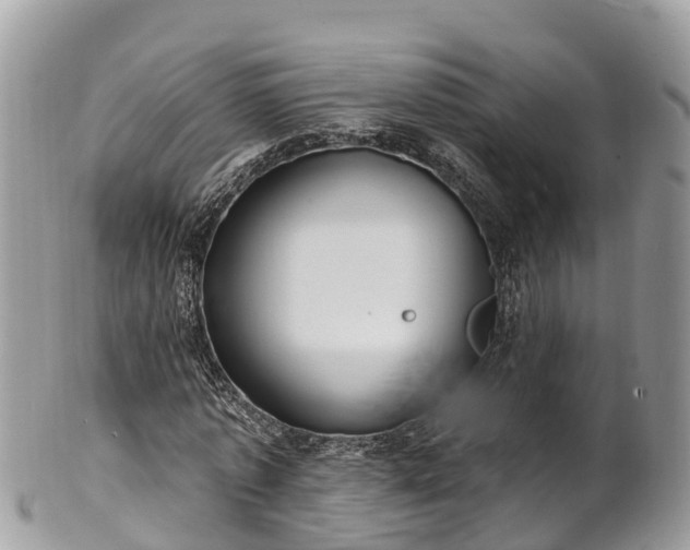 X0000101180773200807071244