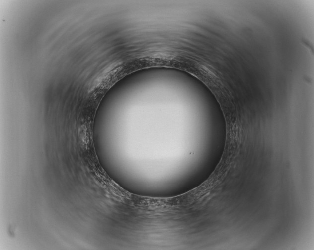 X0000101180774200807071244