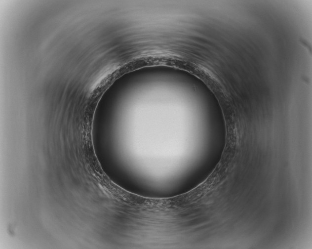 X0000101180775200807071244