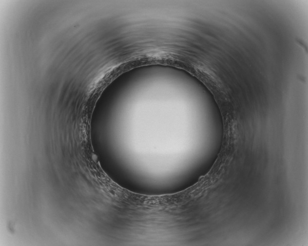 X0000101180776200807071244