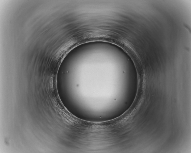 X0000101180777200807071244