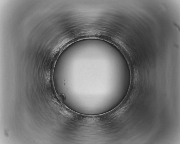 X0000101180778200807071244
