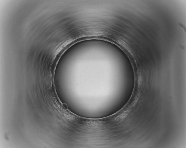 X0000101180781200807071244