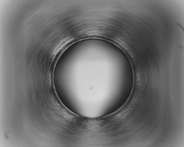 X0000101180782200807071244