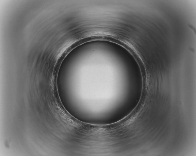 X0000101180783200807071244
