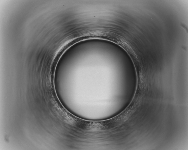 X0000101180784200807071244