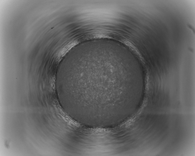 X0000101180785200807071244