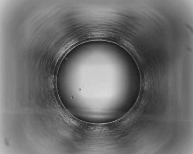 X0000101180786200807071244