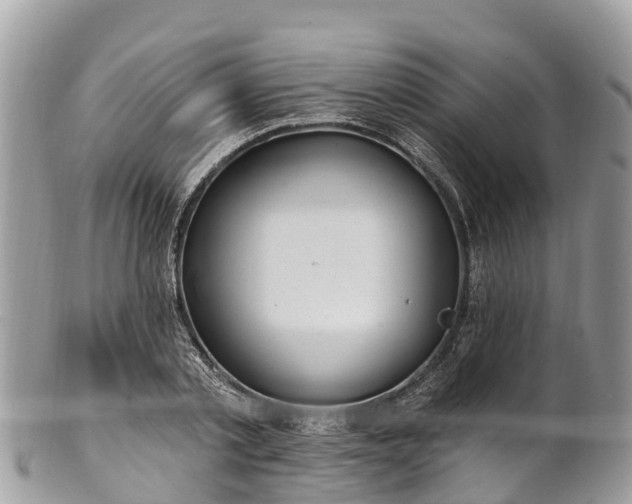X0000101180789200807071244