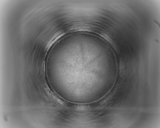 X0000101180790200807071244