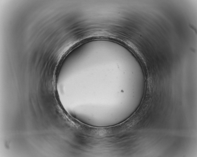X0000101180791200807071244