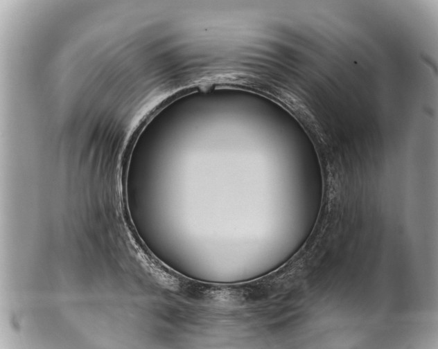 X0000101180792200807071244