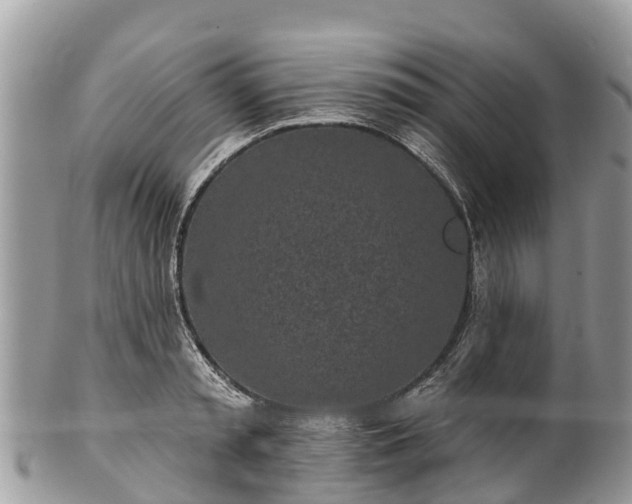 X0000101180797200807071244