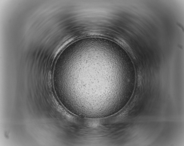 X0000101180798200807071244