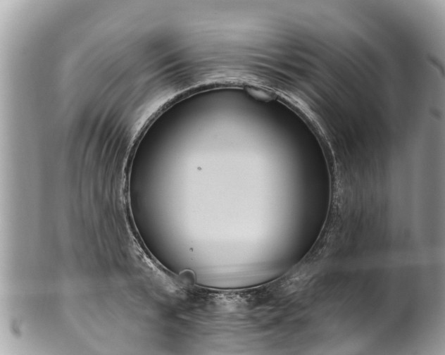 X0000101180799200807071244