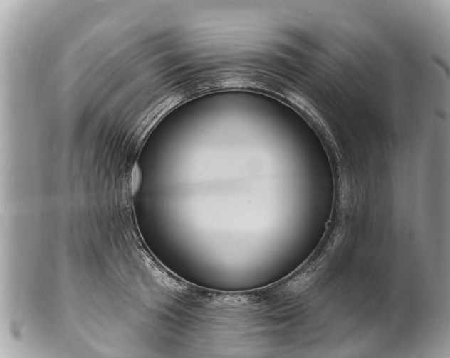 X0000101180801200807071244