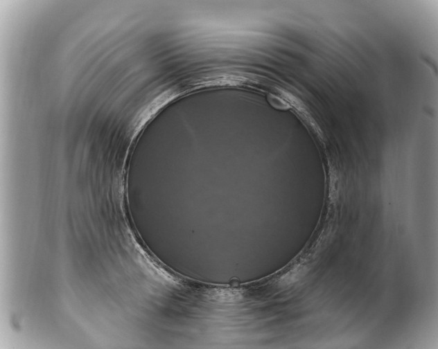 X0000101180802200807071244