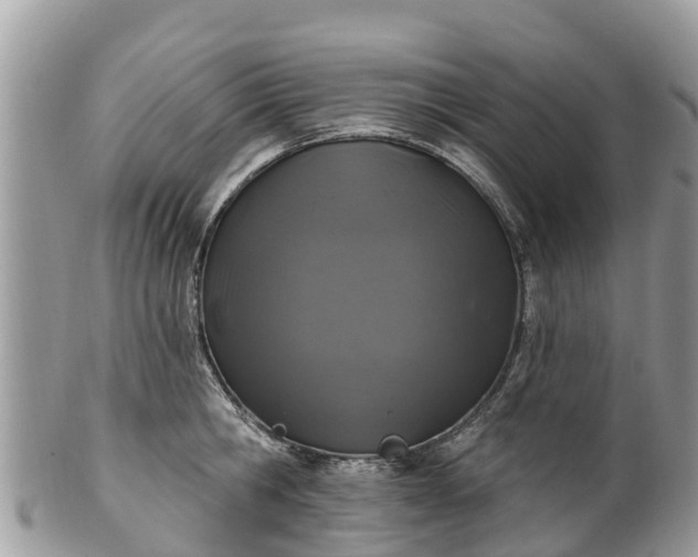 X0000101180806200807071244