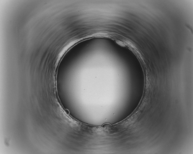 X0000101180808200807071243
