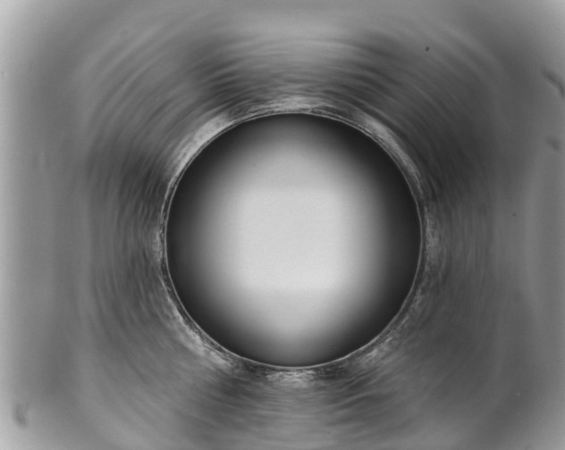 X0000101180810200807071243
