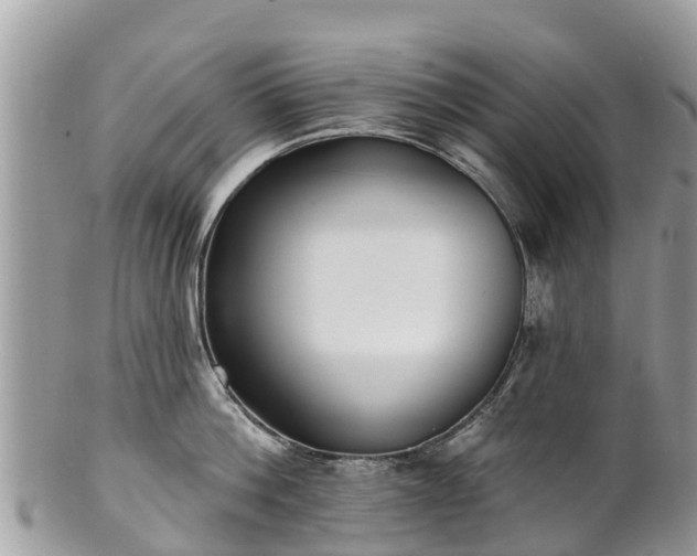 X0000101180812200807071243