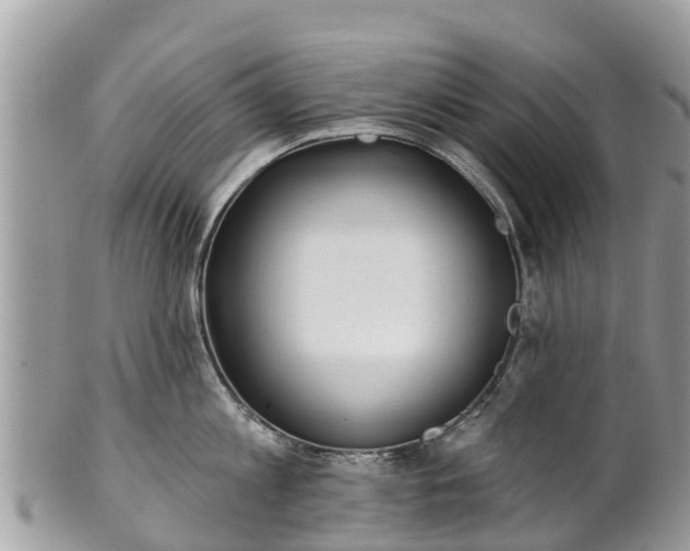 X0000101180813200807071243
