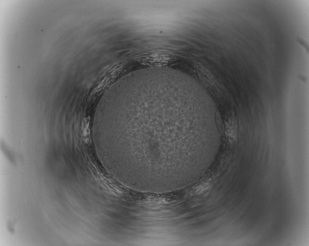 X0000101180818200807071243