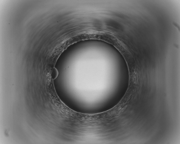 X0000101180821200807071243
