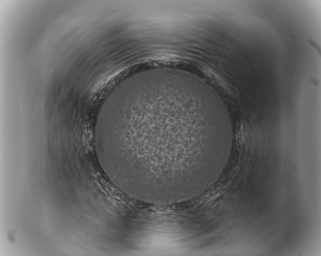 X0000101180822200807071243