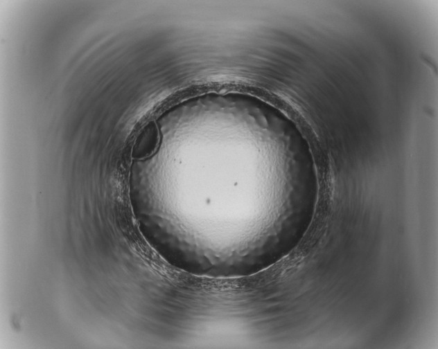 X0000101180823200807071243