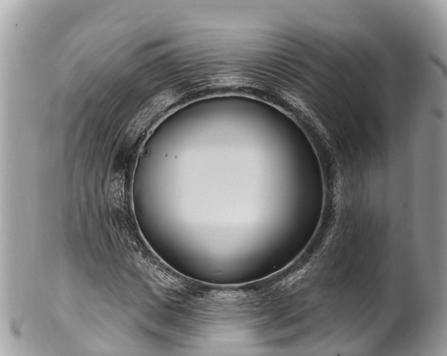 X0000101180825200807071243
