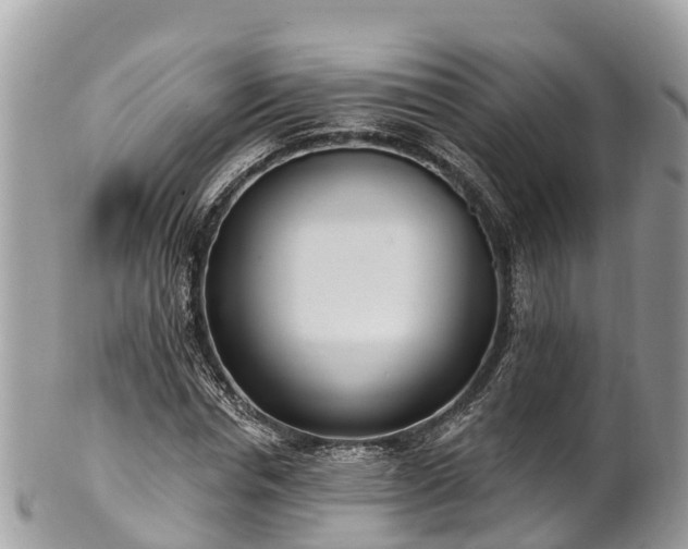 X0000101180826200807071243