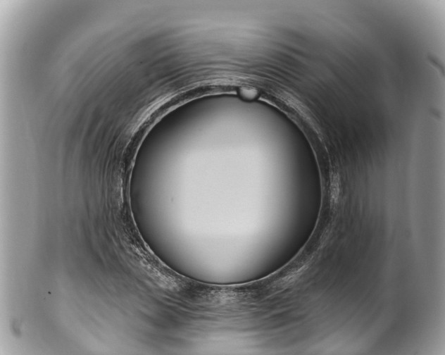 X0000101180829200807071243