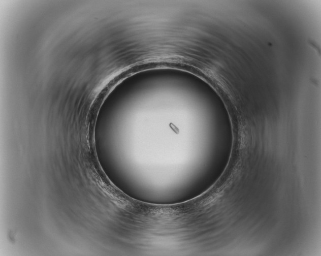 X0000101180830200807071243