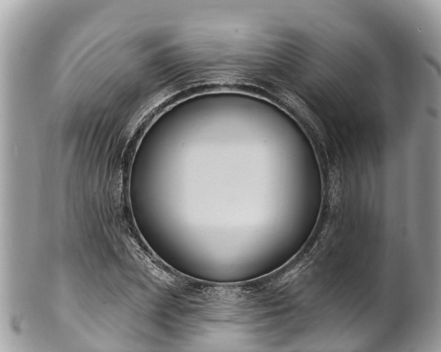 X0000101180831200807071243