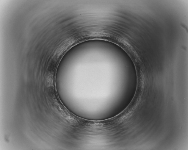 X0000101180833200807071243