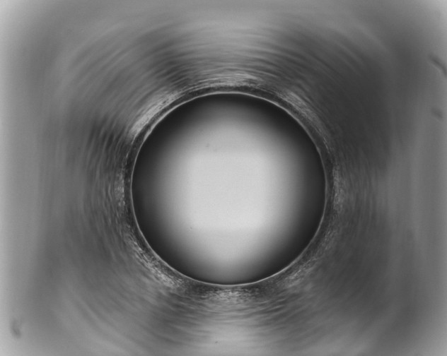 X0000101180834200807071243