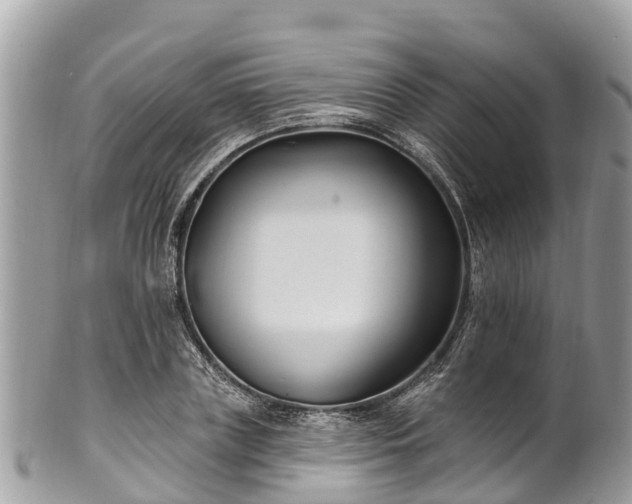 X0000101180835200807071243