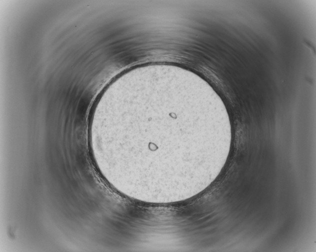 X0000101180836200807071243