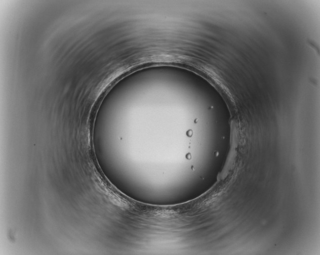 X0000101180837200807071243