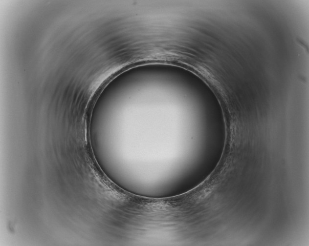 X0000101180838200807071243