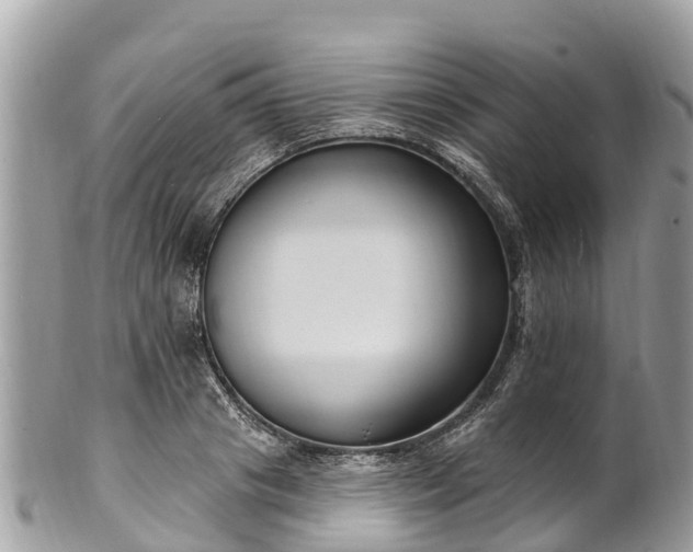 X0000101180841200807071243